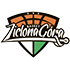 Stelmet Zielona Gora