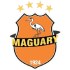 Магуари