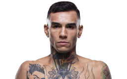 Andre Fili