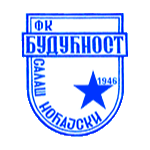 ФК Будучност Салаш Ночайски