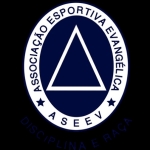 АСЕЕВ U13