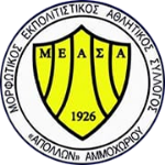 МЕАС Аполлон Аммохориу