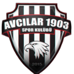 Авджылар 1903 Спор