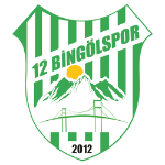 12 Бингёльспор U14
