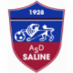 Салине