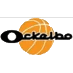 Оккельбо Баскет