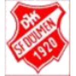 ДЖК СФ Дюльмен III (9er)
