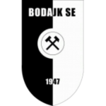 Бодайк SE