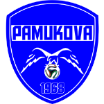 Излог Памукова