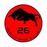 Эскишехир 26 Генчлик Спор