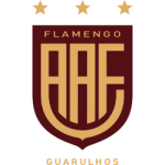 Фламенго ди Гуарульюс U12