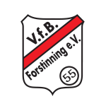 ФФБ Форстиннинг