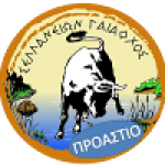 АО Селланон