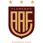 Фламенго де Гуарульос U17