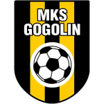 МКС Гоголин