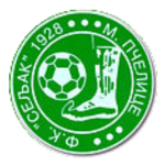 ФК Селяк 1928 Мале Пчелице