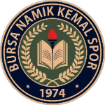 Намыккемальспор
