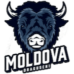 АЧС Молдова Дрэгушени