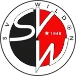 Вильдон
