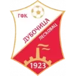 ФК Дубочица U19