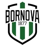 Борнова 1877 U19