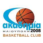 Академия 2008