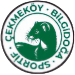 Чекмекёй Билгидог̃а Спор