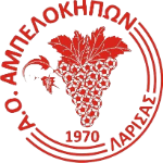АО Ампелокипон Ларисас