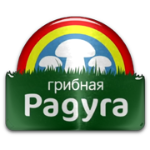 ФК Грибная Радуга Курск