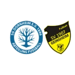 JSG Дорнхайм/Гайнсхайм U15