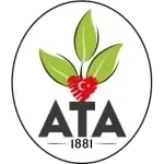 1881 Чайели Атаспор