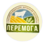 ФК Перемога Клепачи