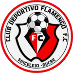 Фламенго ФК 1C
