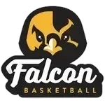 Фалкон U14