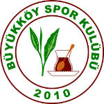 Бююккёйспор