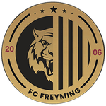 Фрейминг