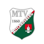 МТВ 1860 Альтландсберг U35