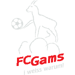 ФК Гамс