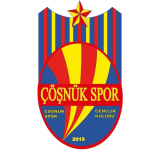 Чёшнюк Спор U13