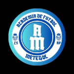 Академия Метегол U9
