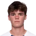 Вилк Вилковыя