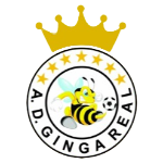 Жинга Реал