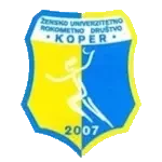 Зурд Копер