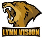 Lynn Vision