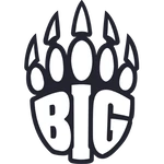 BIG Academy