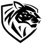 Ilbirs eSports
