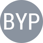 Bondarevskiy Y / Palan D