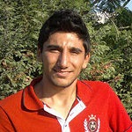 J. L. R. D. Silva / K. Sultanov
