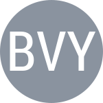 Bielinskyi V / Yevseyev D
