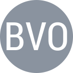 Bzarov A / Voronin D